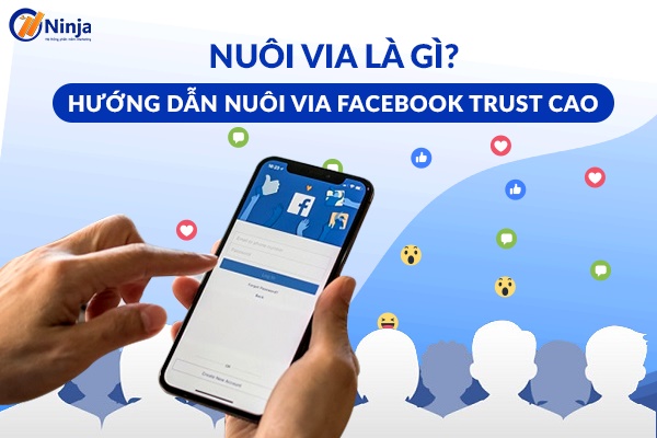 Nuôi via facebook là gì? Cách nuôi via facebook Trust cao